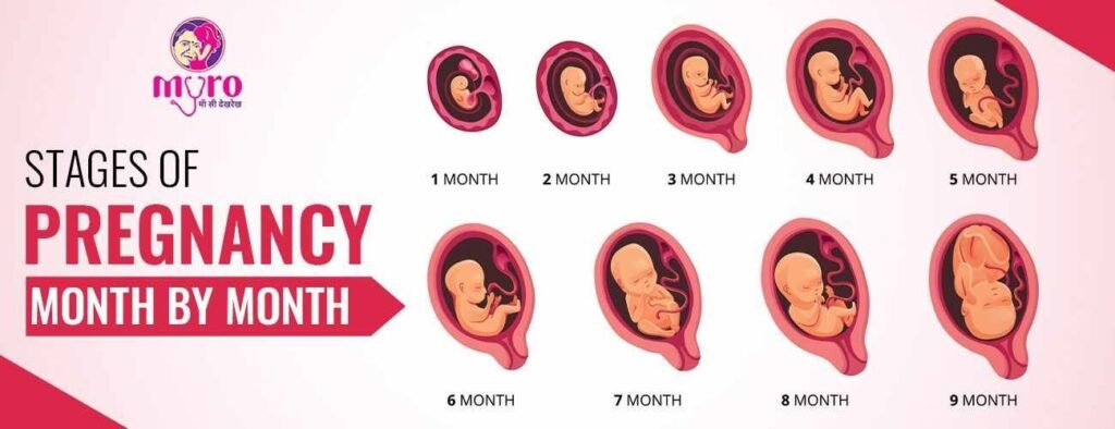 Stages of pregnancy month by month – All in One Guide | Dr Satyamvada Pandey